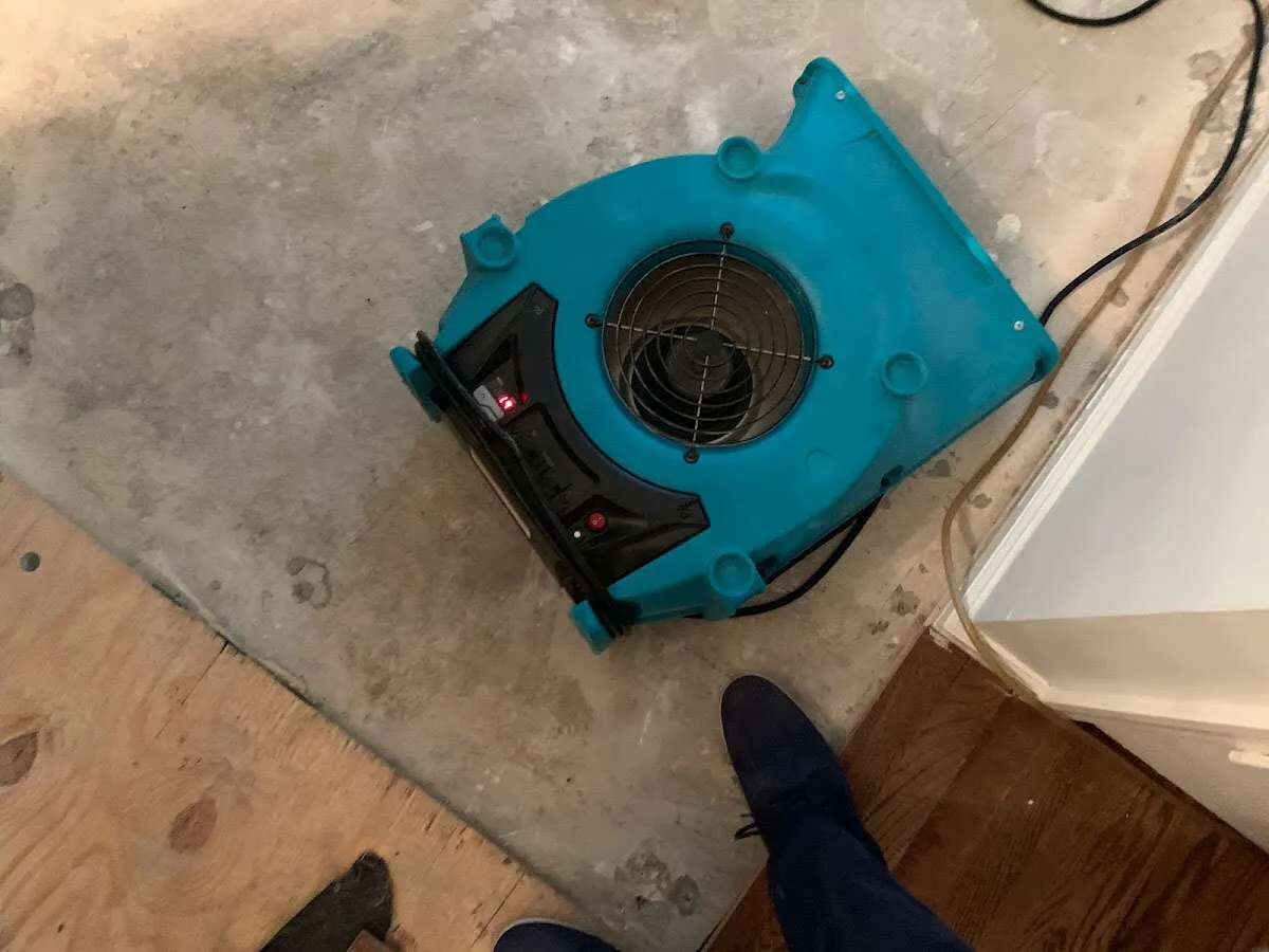 Air mover drying subfloor during Commercial Water Damage Restoration in Tuckahoe